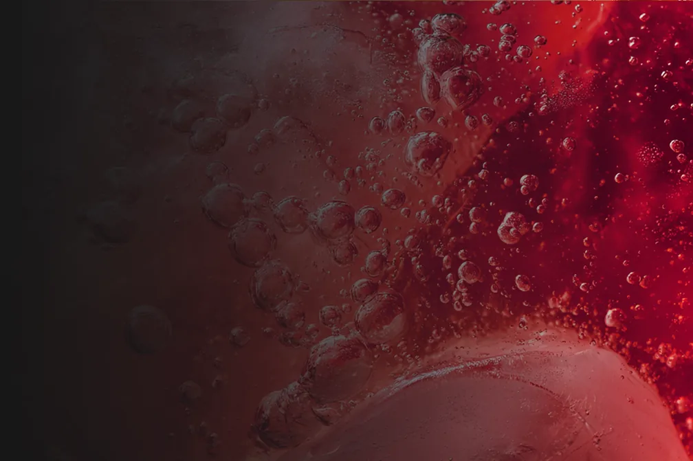 Hydration & Refresh Duo — Leave-In + Refresh Spray — Hibiscus