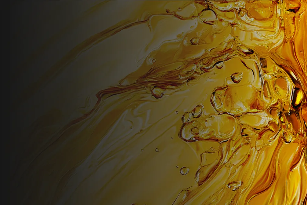 Based Tallow Moisturizer — Deep Hydration — Ingredient Rosehipoil